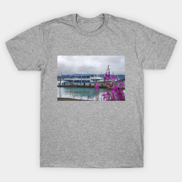 Alaska. Seward. Harbor. Cruise Ship. T-Shirt by vadim19